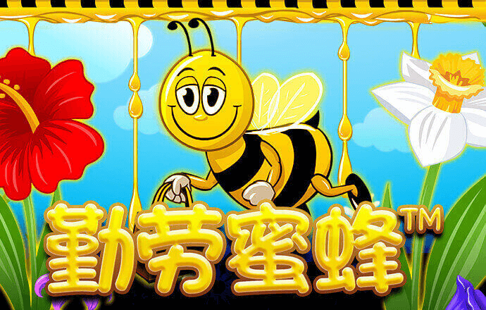 鸿博体育官网入口网站截图1